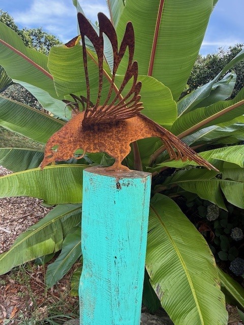 images/RS TUITUI4.jpg